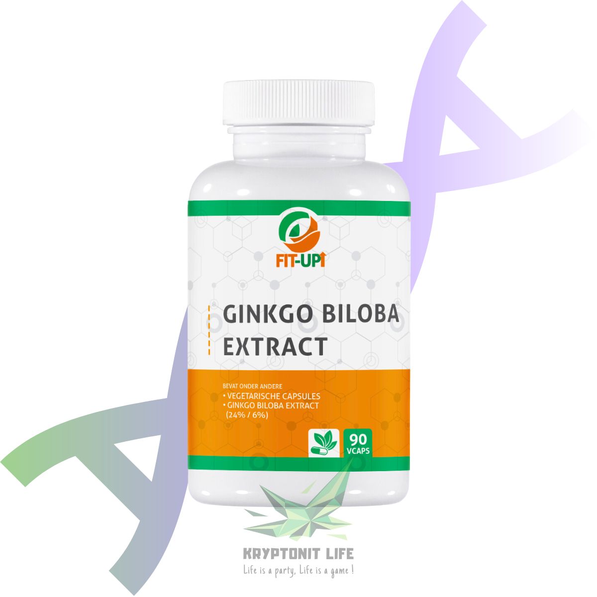 Ginkgo biloba extrakt | 90 Caps - Fit-Up