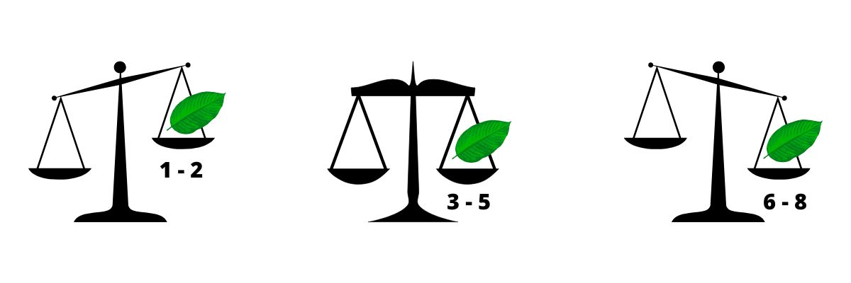 Účinky, dávkování a legislativa Kratomu v ČR