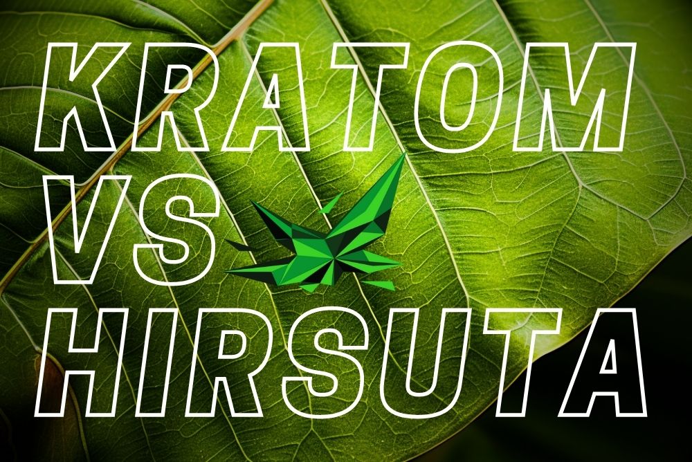 Mitragyna Hirsuta nebo Kratom? Objev Tuto Novou Alternativu