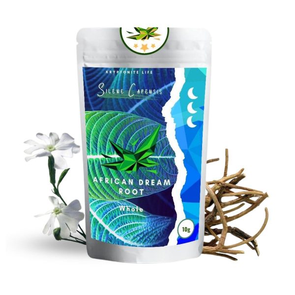 Africký kořen snů (Silene Capensis) - Kořen