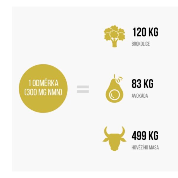 NMN (nikotinamid mononukleotid) | BrainMax - 20g