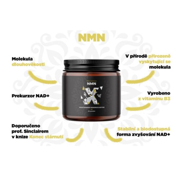 NMN (nikotinamid mononukleotid) | BrainMax - 20g
