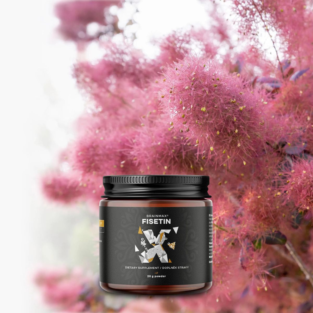 BrainMax Fisetin 300 mg - 20 g