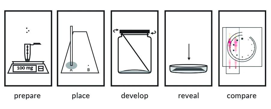 Cannabinoids Testovací sada (TLC) – PRO Test – Drogový test – % čistota