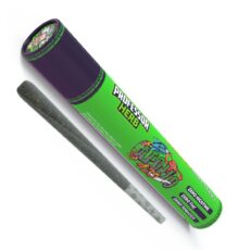 Professor Herb CBD Joint - 9% Cannabinoids - Apollo 420
