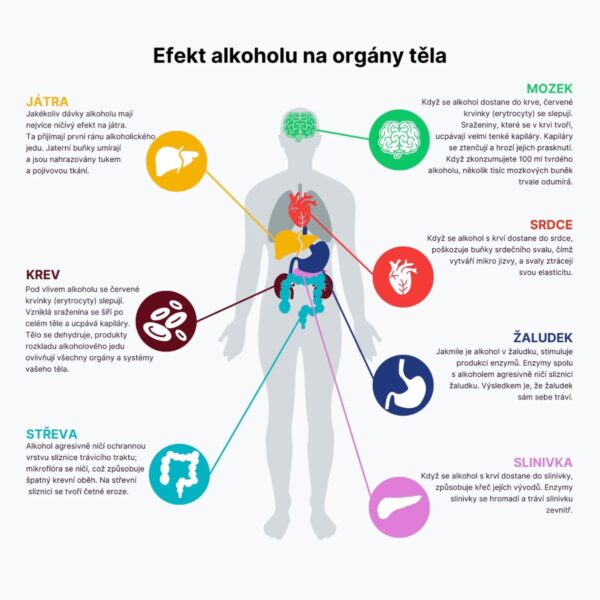 AFTERPARTY | Bojovník za rána bez těžkých kocovin! - BrainMax