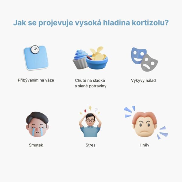 Cortisol Stress Support - komplex pro zvládání stresu | BrainMax