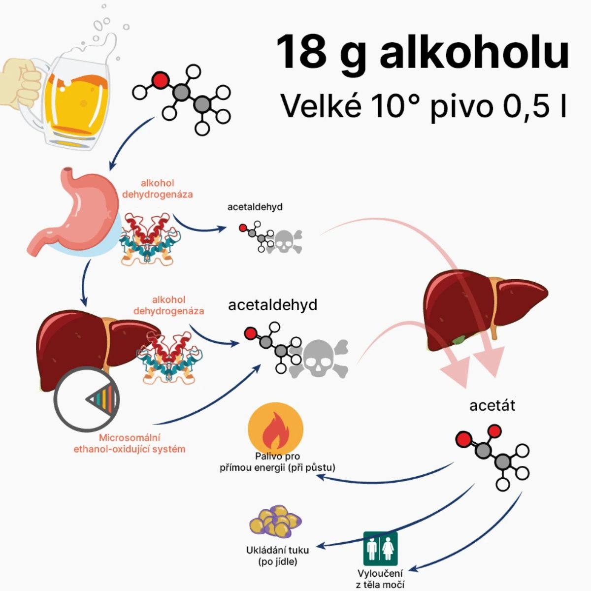 AFTERPARTY | Bojovník za rána bez těžkých kocovin! - BrainMax