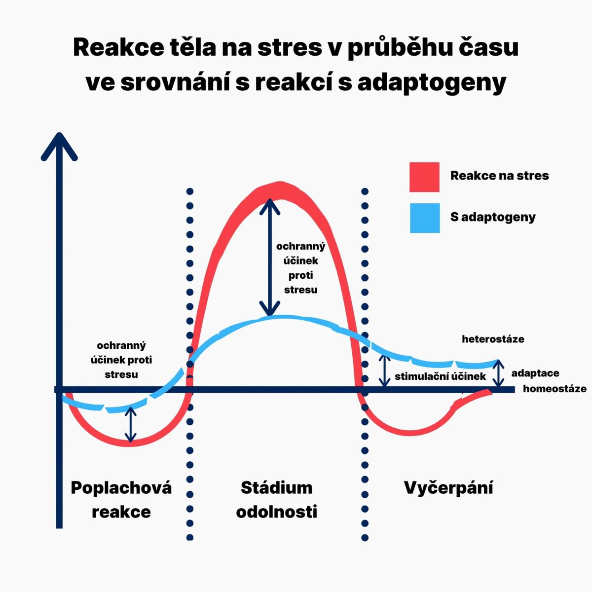 AFTERPARTY | Bojovník za rána bez těžkých kocovin! - BrainMax